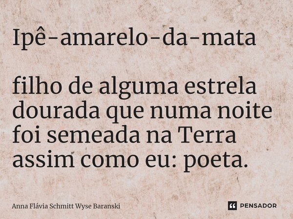 ⁠Ipê-amarelo-da-mata filho de alguma estrela dourada que numa noite foi semeada na Terra assim como eu: poeta.... Frase de Anna Flávia Schmitt Wyse Baranski.