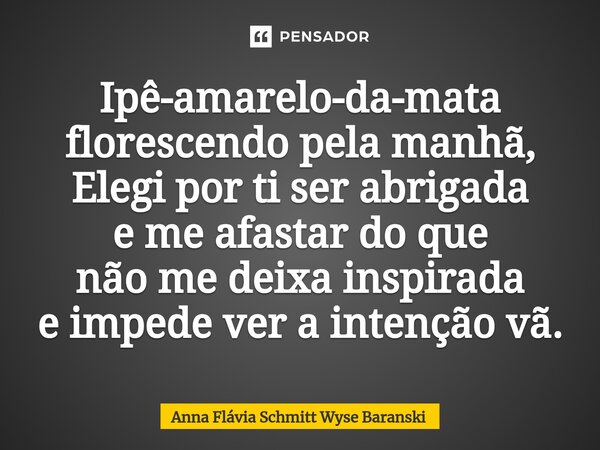 ⁠Ipê-amarelo-da-mata florescendo pela manhã, Elegi por ti ser abrigada e me afastar do que não me deixa inspirada e impede ver a intenção vã.... Frase de Anna Flávia Schmitt Wyse Baranski.