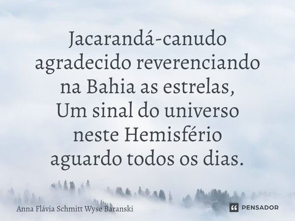 ⁠Jacarandá-canudo agradecido reverenciando na Bahia as estrelas, Um sinal do universo neste Hemisfério aguardo todos os dias.... Frase de Anna Flávia Schmitt Wyse Baranski.