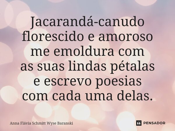 ⁠Jacarandá-canudo florescido e amoroso me emoldura com as suas lindas pétalas e escrevo poesias com cada uma delas.... Frase de Anna Flávia Schmitt Wyse Baranski.
