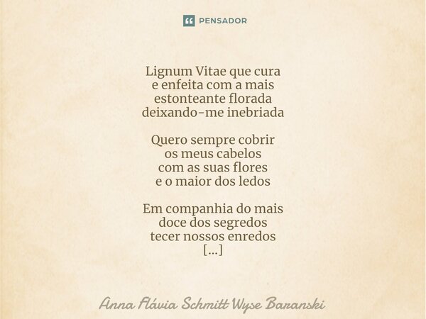 Lignum Vitae que cura e enfeita com a mais estonteante florada deixando-me inebriada Quero sempre cobrir os meus cabelos com as suas flores e o maior dos ledos... Frase de Anna Flávia Schmitt Wyse Baranski.