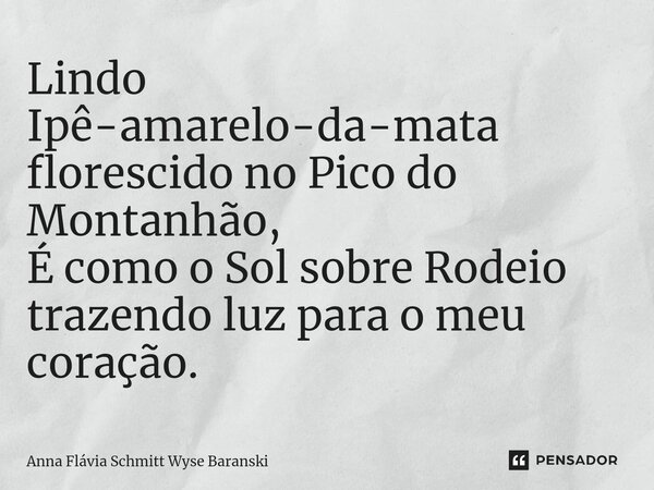 ⁠Lindo Ipê-amarelo-da-mata florescido no Pico do Montanhão, É como o Sol sobre Rodeio trazendo luz para o meu coração.... Frase de Anna Flávia Schmitt Wyse Baranski.