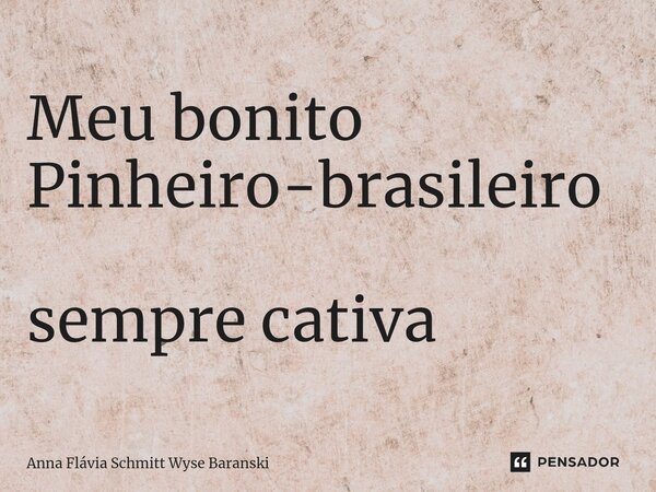 Meu bonito Pinheiro-brasileiro sempre cativa... Frase de Anna Flávia Schmitt Wyse Baranski.