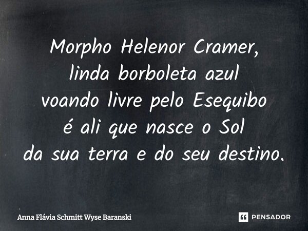 ⁠Morpho Helenor Cramer, linda borboleta azul voando livre pelo Esequibo é ali que nasce o Sol da sua terra e do seu destino.... Frase de Anna Flávia Schmitt Wyse Baranski.