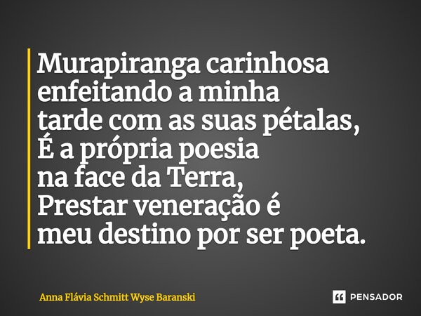 Murapiranga carinhosa enfeitando a minha tarde com as suas pétalas, É a própria poesia na face da Terra, Prestar veneração é meu destino por ser poeta.... Frase de Anna Flávia Schmitt Wyse Baranski.