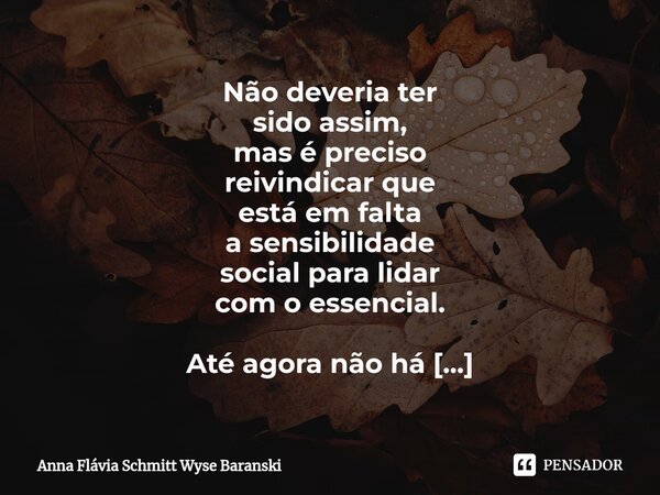 Não deveria ter sido assim, mas é preciso reivindicar que está em falta a sensibilidade social para lidar com o essencial. Até agora não há nenhum sinal de jus... Frase de Anna Flávia Schmitt Wyse Baranski.