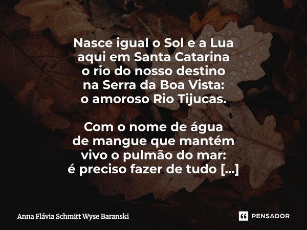 Nasce igual o Sol e a Lua aqui em Santa Catarina o rio do nosso destino na Serra da Boa Vista: o amoroso Rio Tijucas. Com o nome de água de mangue que mantém v... Frase de Anna Flávia Schmitt Wyse Baranski.
