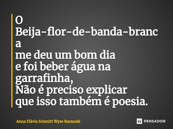 ⁠O Beija-flor-de-banda-branca me deu um bom dia e foi beber água na garrafinha, Não é preciso explicar que isso também é poesia.... Frase de Anna Flávia Schmitt Wyse Baranski.