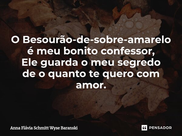 ⁠O Besourão-de-sobre-amarelo é meu bonito confessor, Ele guarda o meu segredo de o quanto te quero com amor.... Frase de Anna Flávia Schmitt Wyse Baranski.