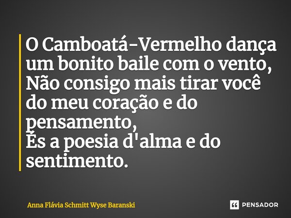 ⁠O Camboatá-Vermelho dança um bonito baile com o vento, Não consigo mais tirar você do meu coração e do pensamento, És a poesia d'alma e do sentimento.... Frase de Anna Flávia Schmitt Wyse Baranski.