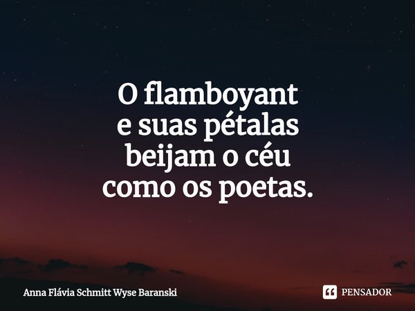 ⁠O flamboyant
e suas pétalas
beijam o céu
como os poetas.... Frase de Anna Flávia Schmitt Wyse Baranski.