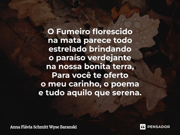 ⁠O Fumeiro florescido na mata parece todo estrelado brindando o paraíso verdejante na nossa bonita terra, Para você te oferto o meu carinho, o poema e tudo aqui... Frase de Anna Flávia Schmitt Wyse Baranski.