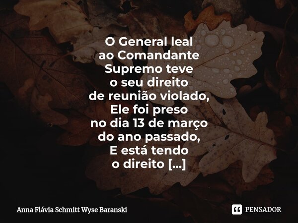 ⁠O General leal ao Comandante Supremo teve o seu direito de reunião violado, Ele foi preso no dia 13 de março do ano passado, E está tendo o direito de defesa n... Frase de Anna Flávia Schmitt Wyse Baranski.