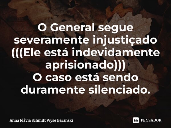 ⁠O General segue severamente injustiçado (((Ele está indevidamente aprisionado))) O caso está sendo duramente silenciado.... Frase de Anna Flávia Schmitt Wyse Baranski.