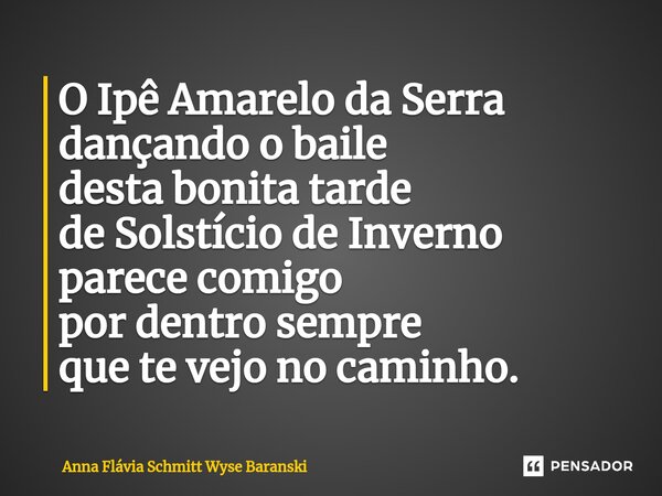 ⁠O Ipê Amarelo da Serra dançando o baile desta bonita tarde de Solstício de Inverno parece comigo por dentro sempre que te vejo no caminho.... Frase de Anna Flávia Schmitt Wyse Baranski.