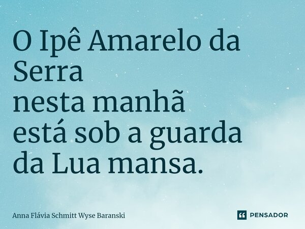 ⁠O Ipê Amarelo da Serra nesta manhã está sob a guarda da Lua mansa.... Frase de Anna Flávia Schmitt Wyse Baranski.