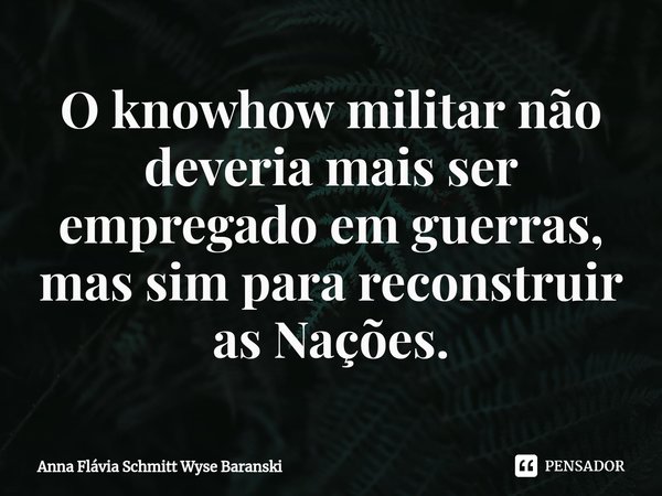 ⁠O knowhow militar não deveria mais ser empregado em guerras, mas sim para reconstruir as Nações.... Frase de Anna Flávia Schmitt Wyse Baranski.