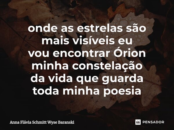 ⁠onde as estrelas são mais visíveis eu vou encontrar Órion minha constelação da vida que guarda toda minha poesia... Frase de Anna Flávia Schmitt Wyse Baranski.