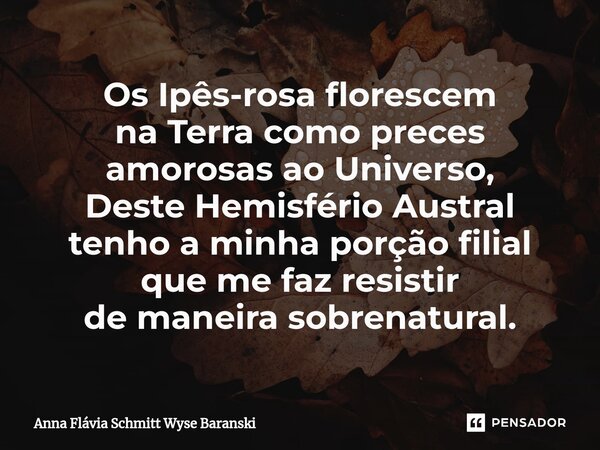 ⁠Os Ipês-rosa florescem na Terra como preces amorosas ao Universo, Deste Hemisfério Austral tenho a minha porção filial que me faz resistir de maneira sobrenatu... Frase de Anna Flávia Schmitt Wyse Baranski.