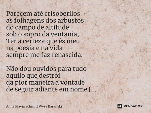 ⁠Parecem até crisoberilos as folhagens dos arbustos do campo de altitude sob o sopro da ventania, Ter a certeza que és meu na poesia e na vida sempre me faz ren... Frase de Anna Flávia Schmitt Wyse Baranski.