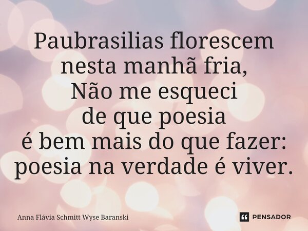 ⁠Paubrasilias florescem nesta manhã fria, Não me esqueci de que poesia é bem mais do que fazer: poesia na verdade é viver.... Frase de Anna Flávia Schmitt Wyse Baranski.