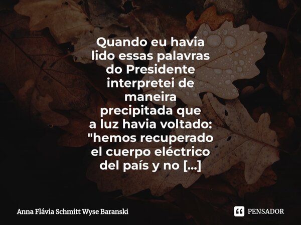 Quando eu havia lido essas palavras do Presidente interpretei de maneira precipitada que a luz havia voltado: "hemos recuperado el cuerpo eléctrico del pa... Frase de Anna Flávia Schmitt Wyse Baranski.
