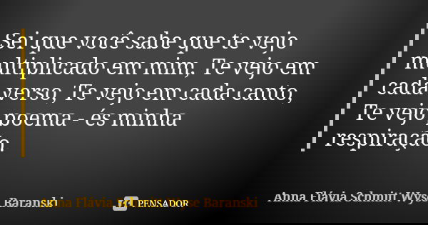 Sei que você sabe que te vejo multiplicado em mim, Te vejo em cada verso, Te vejo em cada canto, Te vejo poema - és minha respiração.... Frase de Anna Flávia Schmitt Wyse Baranski.