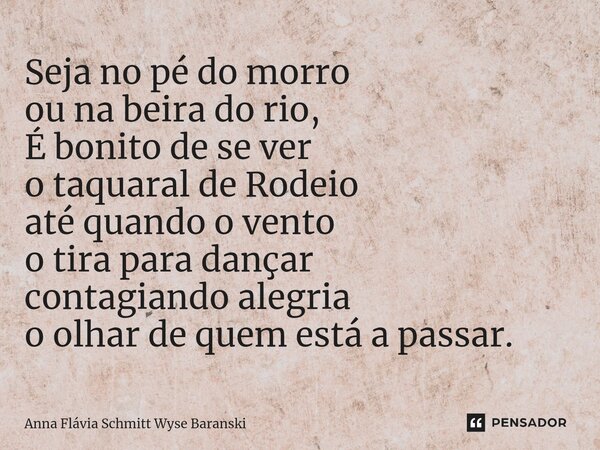 ⁠Seja no pé do morro ou na beira do rio, É bonito de se ver o taquaral de Rodeio até quando o vento o tira para dançar contagiando alegria o olhar de quem está ... Frase de Anna Flávia Schmitt Wyse Baranski.