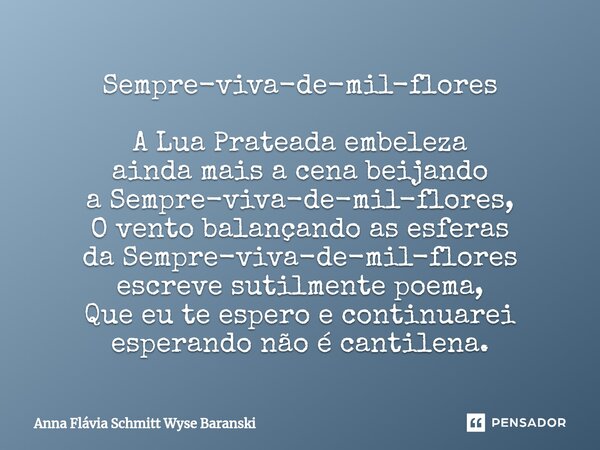 Sempre-viva-de-mil-flores A Lua Prateada embeleza ainda mais a cena beijando a Sempre-viva-de-mil-flores, O vento balançando as esferas da Sempre-viva-de-mil-f... Frase de Anna Flávia Schmitt Wyse Baranski.