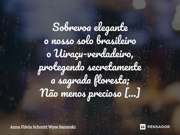 ⁠Sobrevoa elegante o nosso solo brasileiro o Uiraçu-verdadeiro, protegendo secretamente a sagrada floresta; Não menos precioso só não tão presente no nosso terr... Frase de Anna Flávia Schmitt Wyse Baranski.