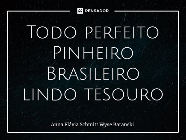 ⁠Todo perfeito Pinheiro Brasileiro lindo tesouro... Frase de Anna Flávia Schmitt Wyse Baranski.