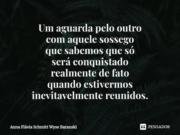 ⁠Um aguarda pelo outro
com aquele sossego
que sabemos que só
será conquistado
realmente de fato
quando estivermos
inevitavelmente reunidos.... Frase de Anna Flávia Schmitt Wyse Baranski.