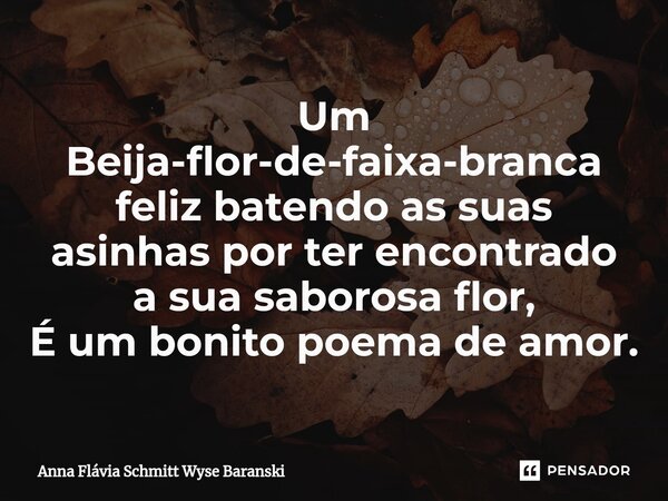 ⁠Um Beija-flor-de-faixa-branca feliz batendo as suas asinhas por ter encontrado a sua saborosa flor, É um bonito poema de amor.... Frase de Anna Flávia Schmitt Wyse Baranski.