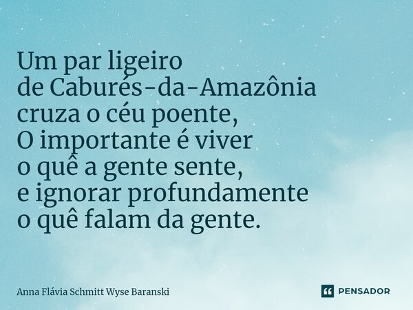 ⁠Um par ligeiro de Caburés-da-Amazônia cruza o céu poente, O importante é viver o quê a gente sente, e ignorar profundamente o quê falam da gente.... Frase de Anna Flávia Schmitt Wyse Baranski.