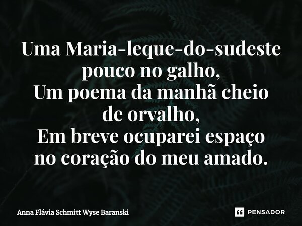 ⁠Uma Maria-leque-do-sudeste pouco no galho, Um poema da manhã cheio de orvalho, Em breve ocuparei espaço no coração do meu amado.... Frase de Anna Flávia Schmitt Wyse Baranski.