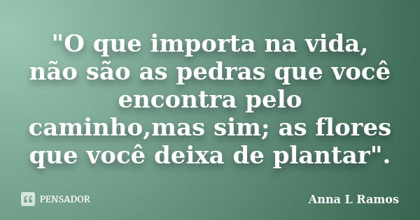 "O que importa na vida, não são as pedras que você encontra pelo caminho,mas sim; as flores que você deixa de plantar".... Frase de Anna L Ramos.