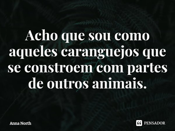 ⁠Acho que sou como aqueles caranguejos que se constroem com partes de outros animais.... Frase de Anna North.