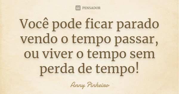Você pode ficar parado vendo o tempo passar, ou viver o tempo sem perda de tempo!... Frase de Anny Pinheiro.
