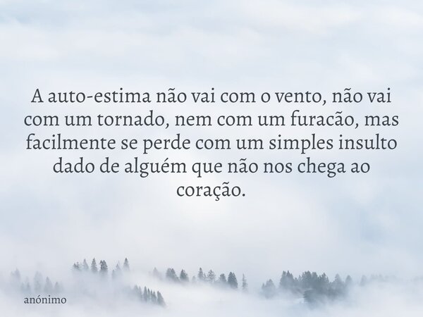 ⁠A auto-estima não vai com o vento, não vai com um tornado, nem com um furacão, mas facilmente se perde com um simples insulto dado de alguém que não nos chega ... Frase de anónimo.