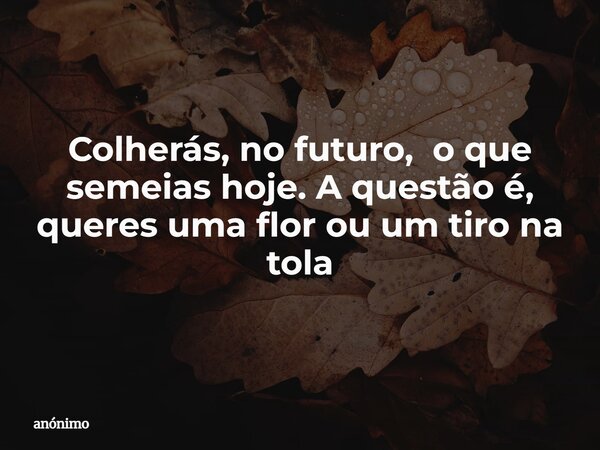 Colherás, no futuro, o que semeias hoje. A questão é, queres uma flor ou um tiro na tola... Frase de anónimo.