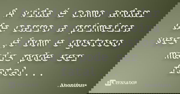 A vida é como andar de carro a primeira ves ,é bom e gostoso mais pode ser fatal...... Frase de Anonimus.