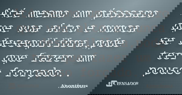Até mesmo um pásssaro que voa alto e nunca se desequilibra,pode ter que fazer um pouso forçado..... Frase de Anonimus.