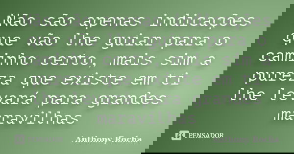 Não são apenas indicações que vão lhe guiar para o caminho certo, mais sim a pureza que existe em ti lhe levará para grandes maravilhas... Frase de Anthony Rocha.