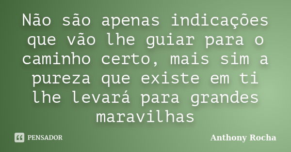 Não são apenas indicações que vão lhe guiar para o caminho certo, mais sim a pureza que existe em ti lhe levará para grandes maravilhas... Frase de Anthony Rocha.