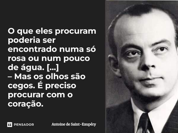⁠O que eles procuram poderia ser encontrado numa só rosa ou num pouco de água. [...] – Mas os olhos são cegos. É preciso procurar com o coração.... Frase de Antoine de Saint-Exupéry.