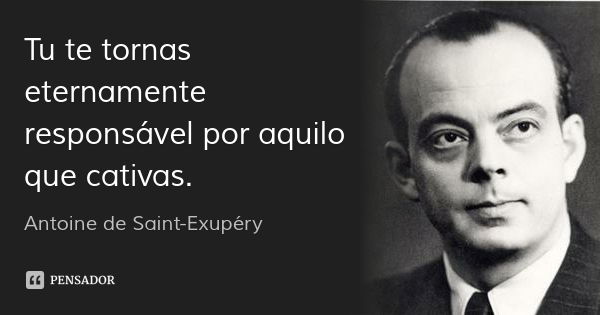 Tu te tornas eternamente responsável por aquilo que cativas.... Frase de Antoine de Saint-Exupéry.