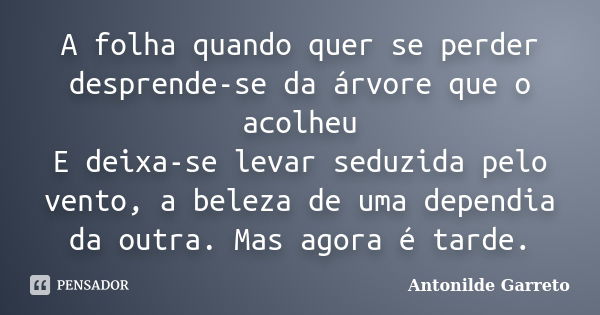 A folha quando quer se perder desprende-se da árvore que o acolheu E deixa-se levar seduzida pelo vento, a beleza de uma dependia da outra. Mas agora é tarde.... Frase de Antonilde Garreto.