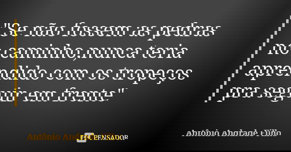 "Se não fossem as pedras no caminho,nunca teria aprendido com os tropeços pra seguir em frente"... Frase de Antonio Andrade Filho.