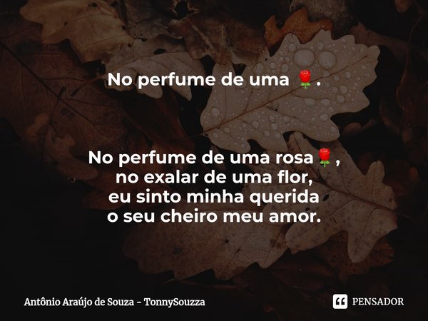 No perfume de uma 🌹. ⁠No perfume de uma rosa🌹,
no exalar de uma flor,
eu sinto minha querida
o seu cheiro meu amor.... Frase de Antônio Araújo de Souza - TonnySouzza.