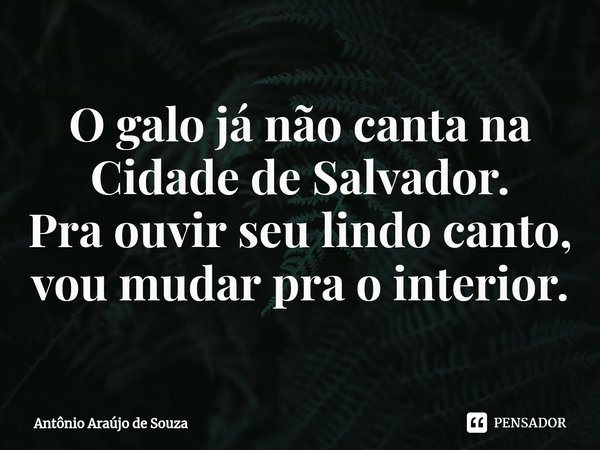 ⁠O galo já não canta na Cidade de Salvador.
Pra ouvir seu lindo canto, vou mudar pra o interior.... Frase de Antônio Araújo de Souza.